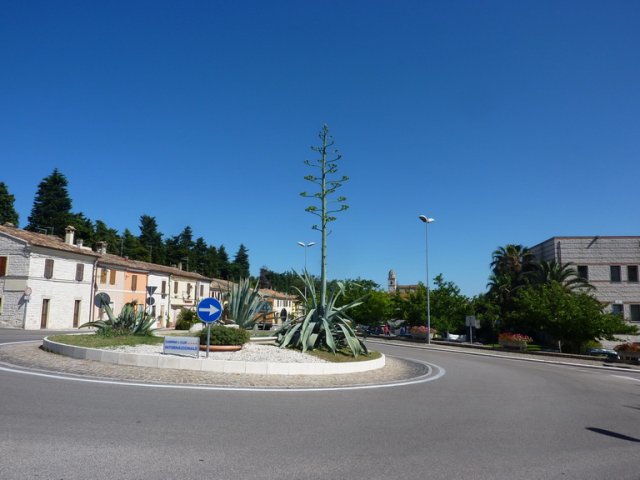 2015